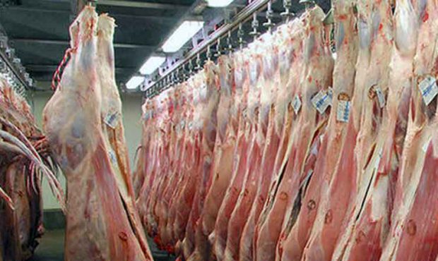 گوشت ماده و بز به‌جای گوسفند نر در مغازه‌ها عرضه نمی‌شود