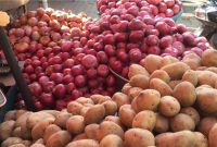 کاهش صرفه اقتصادی تولید سیب‌زمینی و پیاز