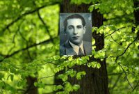 کریم ساعی؛ بنیانگذار علم جنگل در ایران