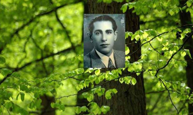 کریم ساعی؛ بنیانگذار علم جنگل در ایران