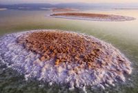 هشدار درباره وقوع طوفان‌های نمکی دریاچه ارومیه