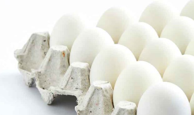 عرضه تخم مرغ ۲۰ درصد کمتر از نرخ مصوب