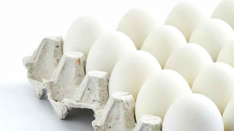 صادرات تخم مرغ به صفر رسید