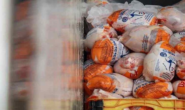 وعده وزارت کشاورزی برای برخورد با گرانفروشی مرغ