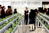 آفت بی‌ توجهی به کشاورزی در دانشگاه‌های ایران