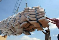 واردات ۸۲۵ میلیون دلار برنج هندی در ۷ ماه