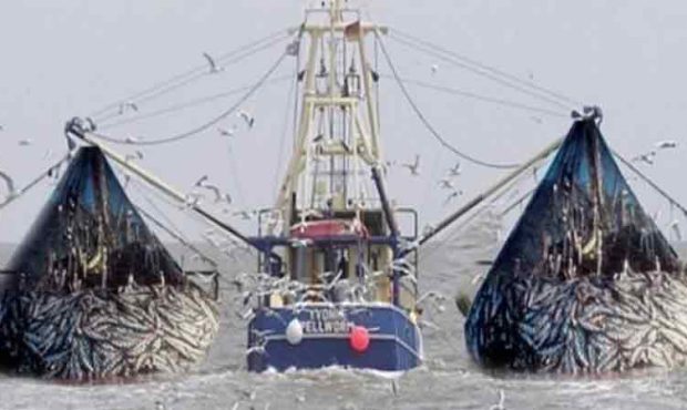 ممنوعیت صید ترال توسط کشتی‌های صید صنعتی خارجی