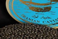 تهران میزبان هشتمین همایش ماهیان خاویاری