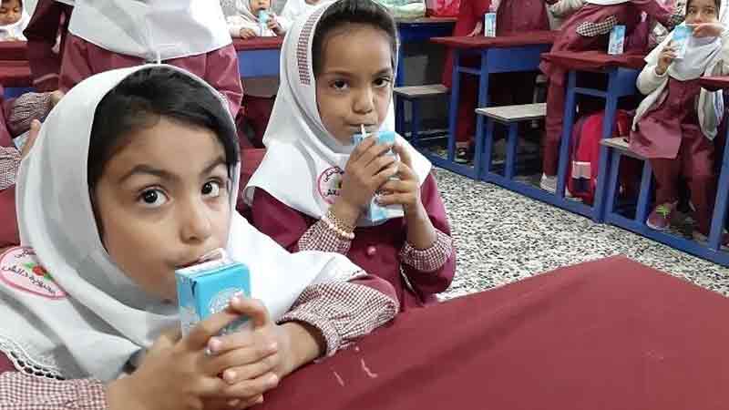 توزیع شیر رایگان در مدارس الزامی شد