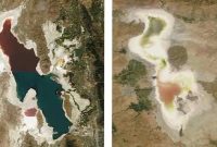 مدیریت بیولوژیک، تنها راهکار جلوگیری از خشک شدن دریاچه ارومیه